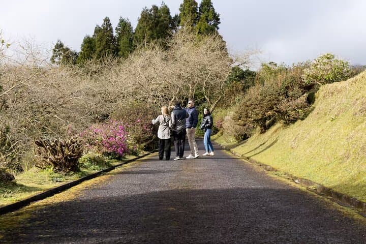 Furnas Night-Time Thermal Baths and Cozido Dinner Experience photo 5