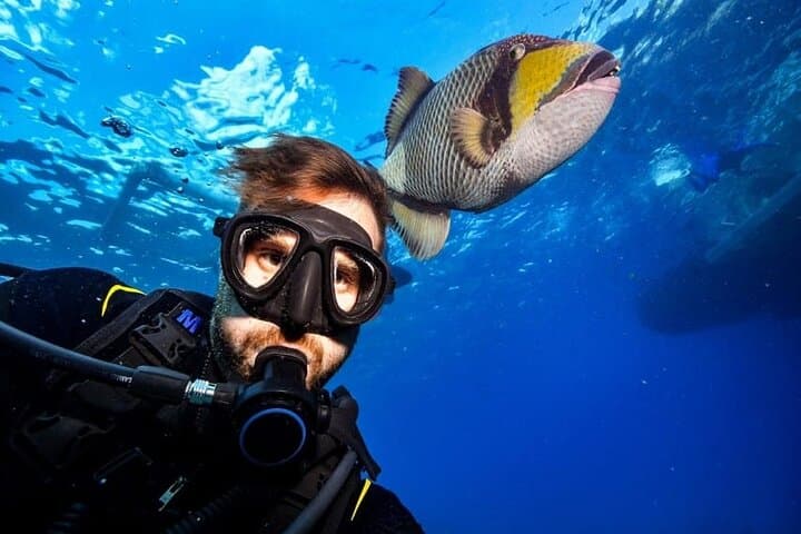 Full-Day Scuba Diving Boat Trip in Hurghada — Beginner-Friendly Red Sea Dives with Lunch photo 4