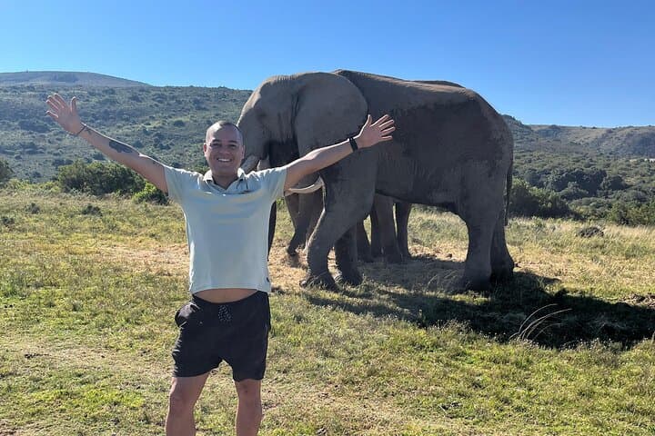 2-Day Greater Addo Ultimate Safari — Addo Elephant Encounter & Giraffe Walk photo 4