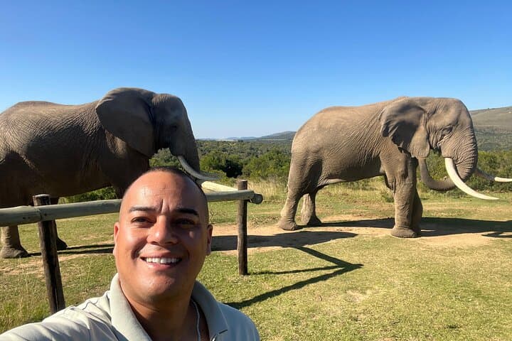 2-Day Greater Addo Ultimate Safari — Addo Elephant Encounter & Giraffe Walk photo 5