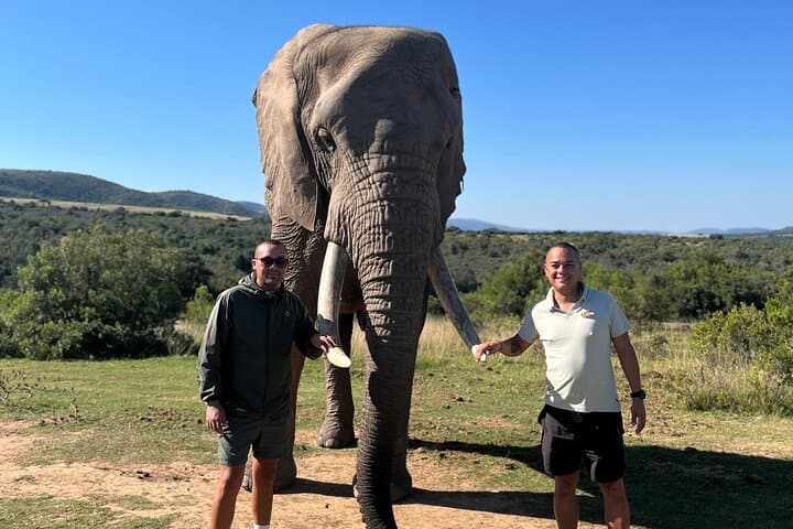 2-Day Greater Addo Ultimate Safari — Addo Elephant Encounter & Giraffe Walk photo 6