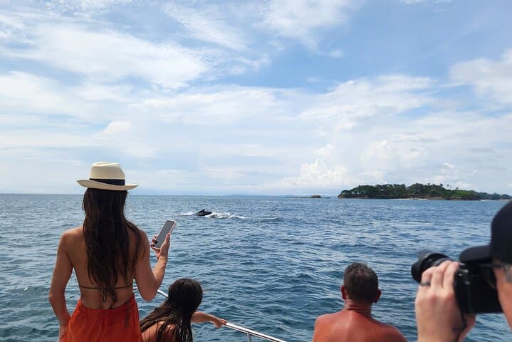 Private Pearl Islands Whale-Watching Tour from Flamenco Marina photo 3