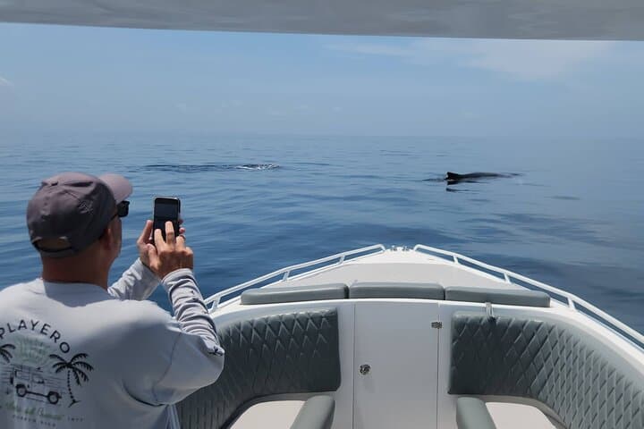 Private Pearl Islands Whale-Watching Tour from Flamenco Marina photo 2