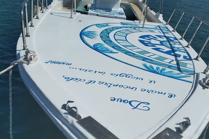 Taormina Coast Boat Tour: Isola Bella, Blue Grotto & Dolphin Watching photo 3
