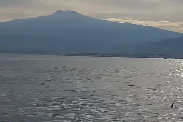 Taormina Coast Boat Tour: Isola Bella, Blue Grotto & Dolphin Watching photo 6