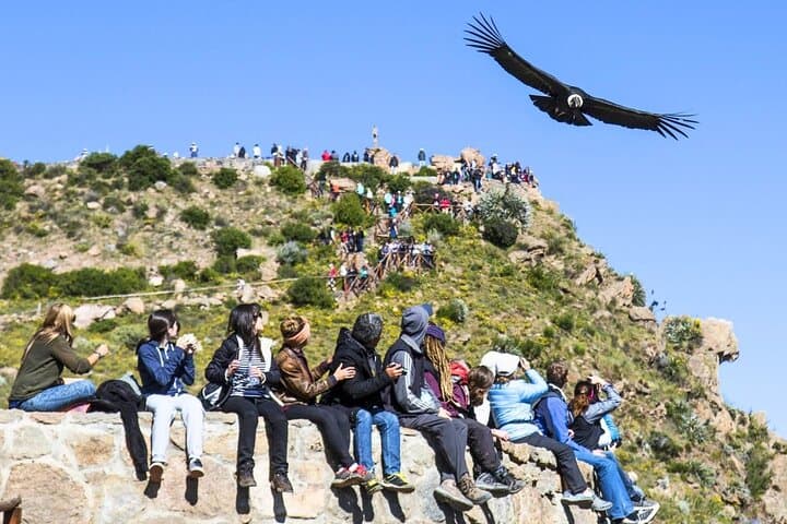 Colca Canyon 2-Day Exploration: Condors, Hot Springs & Andean High Plains photo 2