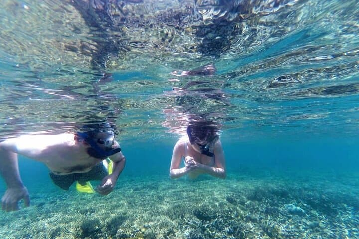 Secret Gilis Snorkeling: Private Full-Day Escape from Sekotong