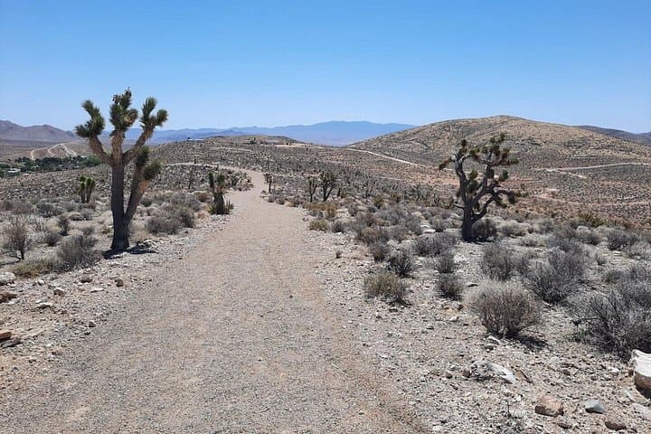 Las Vegas ATV Tours: Off-Road Mojave Ride to Goodsprings photo 3