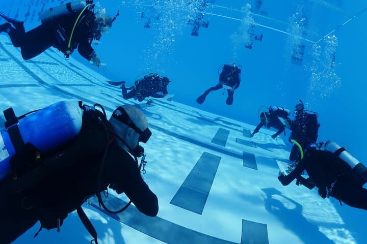 Discover Scuba Diving in Vancouver: Intro Pool Session for First-Timers photo 2