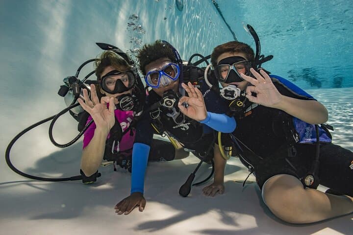 Discover Scuba Diving in Vancouver: Intro Pool Session for First-Timers photo 3