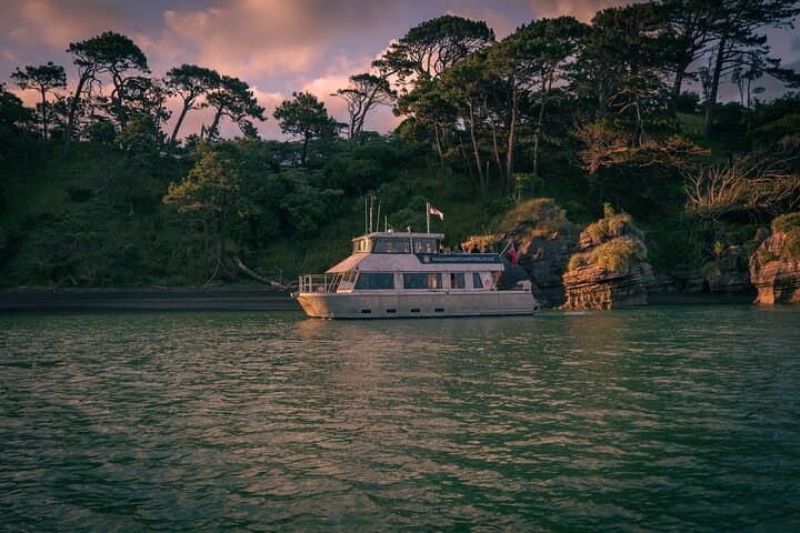 Raglan Scenic Nature Boat Cruise: 90-Min Harbour Tour & Wildlife Viewing photo 2