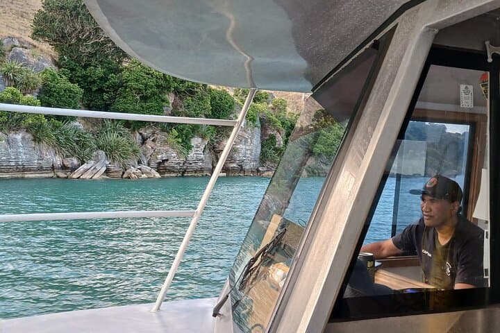 Raglan Scenic Nature Boat Cruise: 90-Min Harbour Tour & Wildlife Viewing photo 4