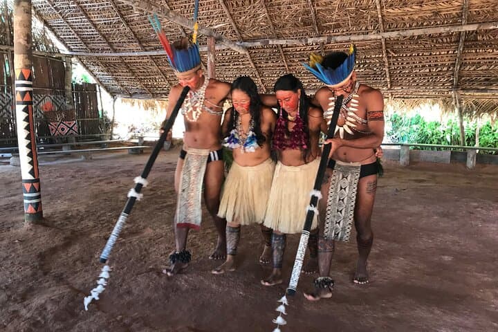 Manaus River Tour: Swim with Pink Dolphins, Indigenous Village & Negro River Beach