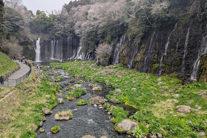 3-Day Private Mt Fuji & Kawaguchiko Tour with Local Guide photo 6