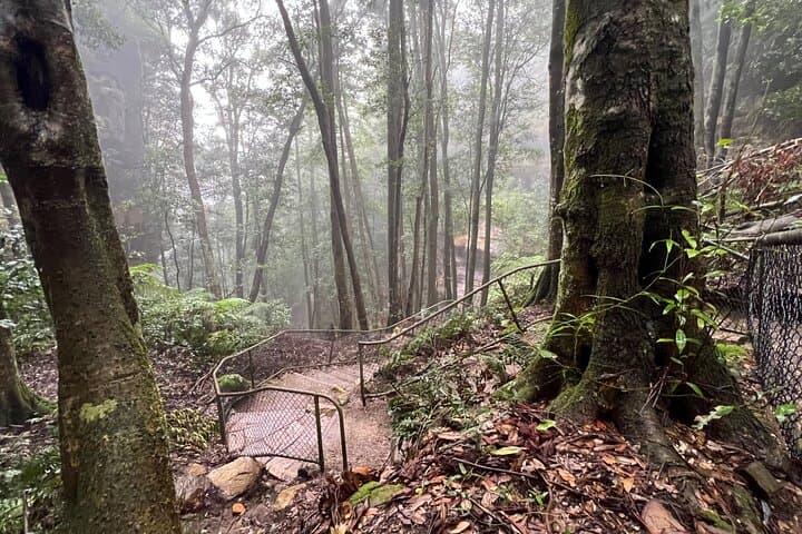Blue Mountains Day Trip from Sydney: Three Sisters, Scenic World & Waterfalls photo 5