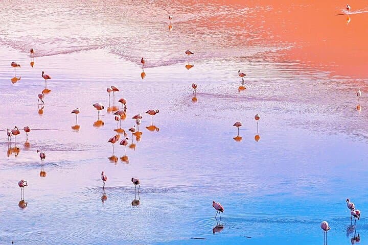 7-Day Uyuni Salt Flats & Eduardo Avaroa Desert Adventure from La Paz photo 6