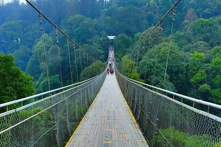 Private Day Tour to Situ Gunung: Suspension Bridge, Lake & Waterfall from Jakarta