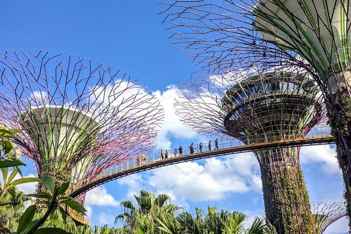 Singapore Garden City Tour: Botanic Gardens, Mt Faber & Marina Bay Views photo 6