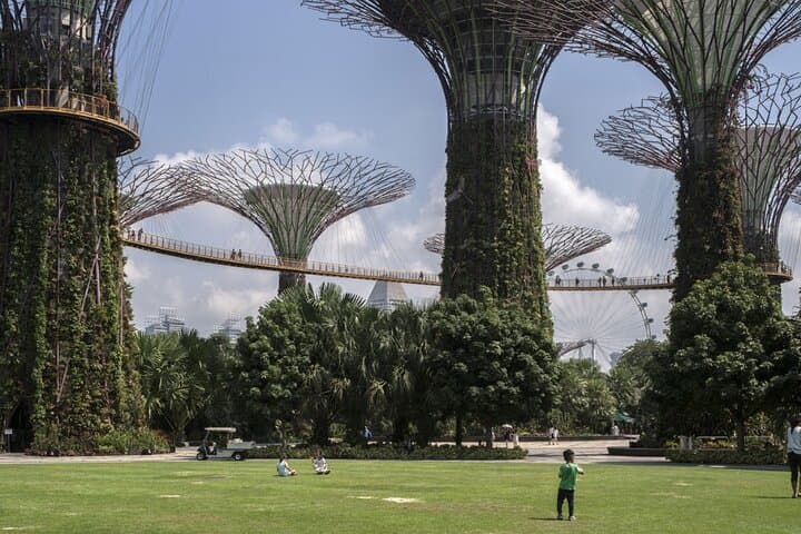 Singapore Garden City Tour: Botanic Gardens, Mt Faber & Marina Bay Views photo 2