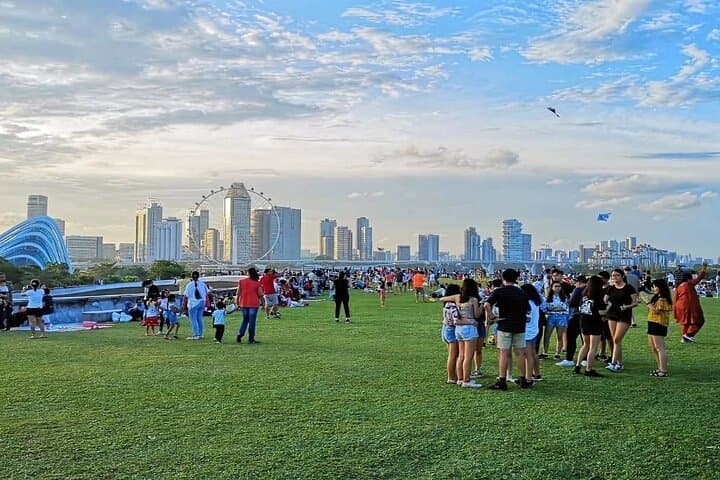 Singapore Garden City Tour: Botanic Gardens, Mt Faber & Marina Bay Views photo 3