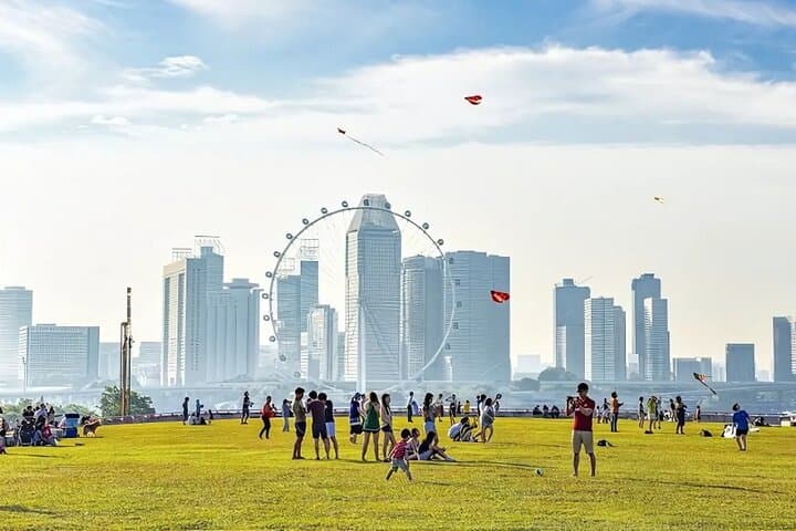 Singapore Garden City Tour: Botanic Gardens, Mt Faber & Marina Bay Views