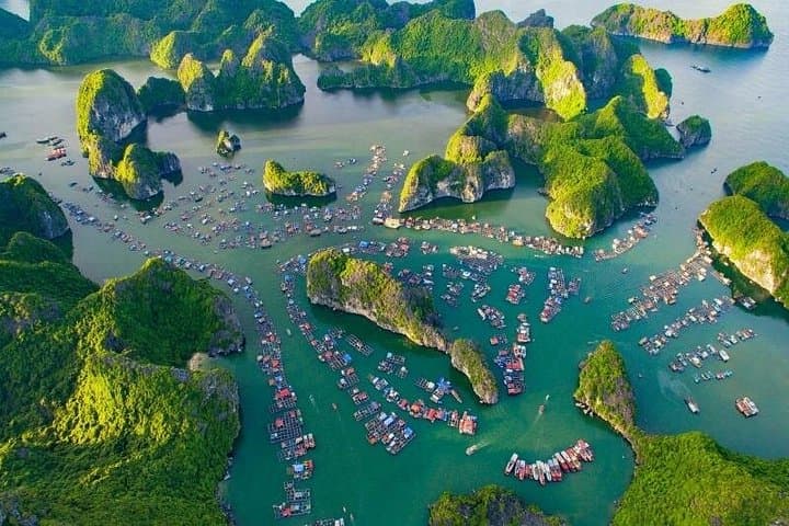 Lan Ha Bay Day Cruise from Hanoi: Kayaking, Floating Villages & Viet Hai Visit photo 1