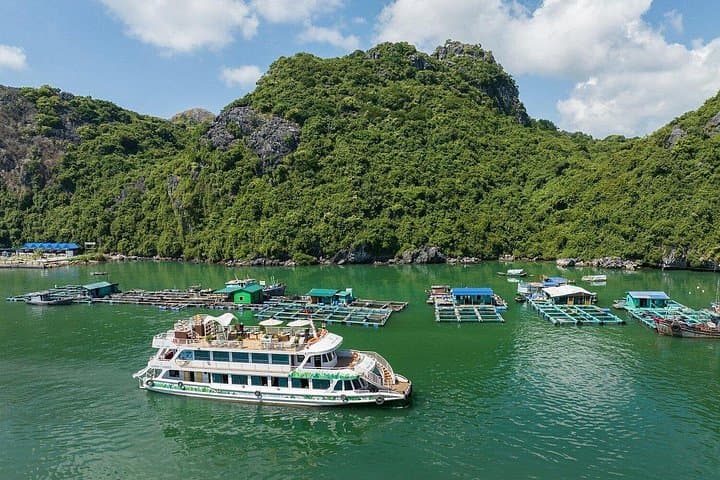 Lan Ha Bay Day Cruise from Hanoi: Kayaking, Floating Villages & Viet Hai Visit photo 4