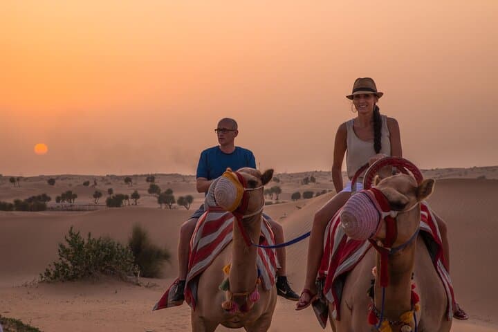 Dubai Evening Camel Caravan and Bedouin Dinner at Al Marmoom Oasis