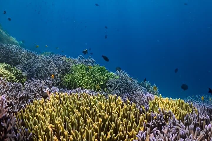 Private Snorkeling Tour to Gili Nanggu, Gili Kedis & Gili Sudak — Sekotong Day Trip photo 5