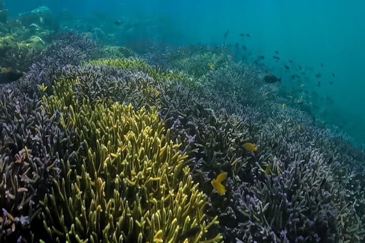 Private Snorkeling Tour to Gili Nanggu, Gili Kedis & Gili Sudak — Sekotong Day Trip photo 6