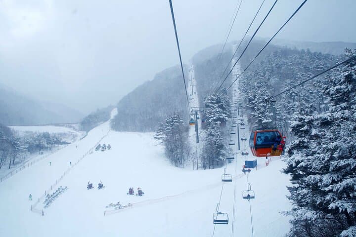 Balwangsan Cable Car & Samyang Ranch: Skywalk, Summit Views and Korea’s Largest Ranch in a Day photo 6