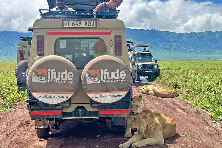 3-Day Serengeti and Ngorongoro Crater Safari — Classic Northern Tanzania Wildlife Itinerary
