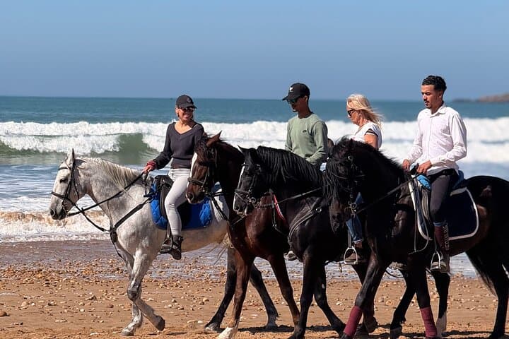 Sunset Horseback Riding in Essaouira — Beaches, Dunes & Argan Forests photo 4