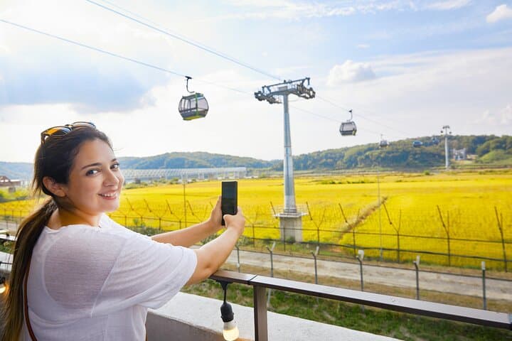 Standing on the Fault Line: DMZ Day Tour from Seoul with Gondola & Suspension Bridge