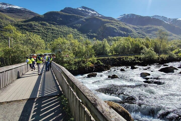 Guided E-Bike Tour of Olden Valley — 20 km Scenic Ride with Snacks photo 5