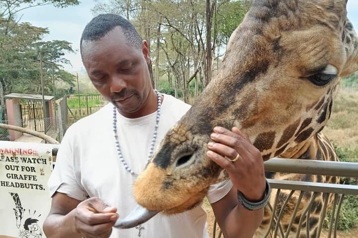 Half-Day Nairobi National Park and Giraffe Centre Safari from Nairobi photo 1