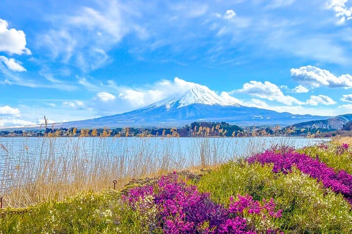 Mount Fuji, Kamakura & Lake Ashi Day Trip — Big Buddha, Oshino Hakkai & Iconic Lake Views photo 2