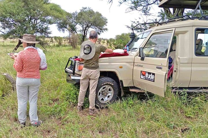 Chasing the Great Migration: 8-Day Serengeti Safari from Arusha photo 2