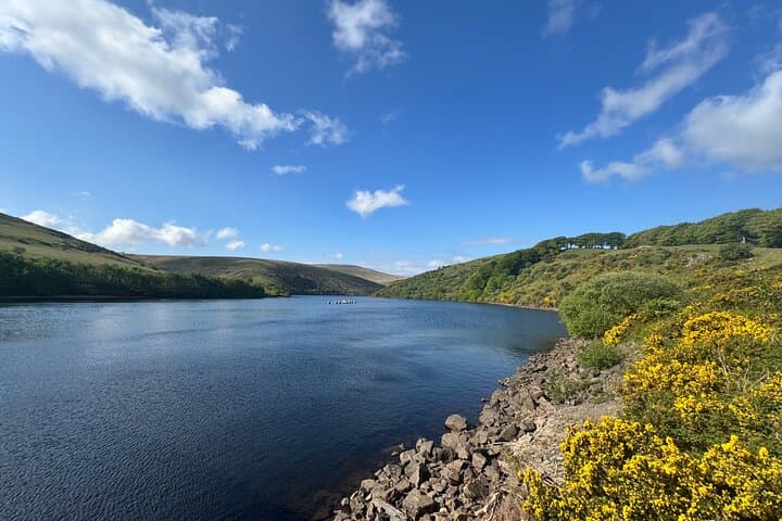 Half-Day Guided Dartmoor Tour: Explore Iconic Tors & Hidden Valleys photo 5
