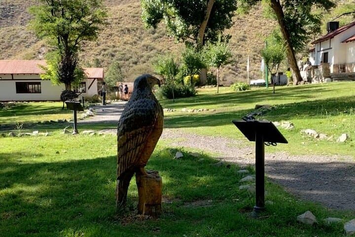 Villavicencio Nature Reserve Tour from Mendoza — 365 Curves, Condors & the Gran Hotel photo 6