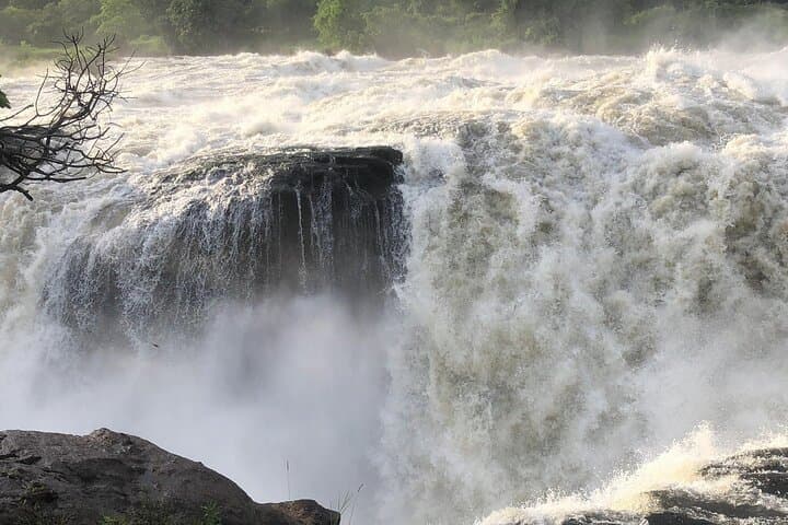 3-Day Murchison Falls Safari: Nile Launch Cruise, Big Five Game Drives & Waterfall Views photo 2