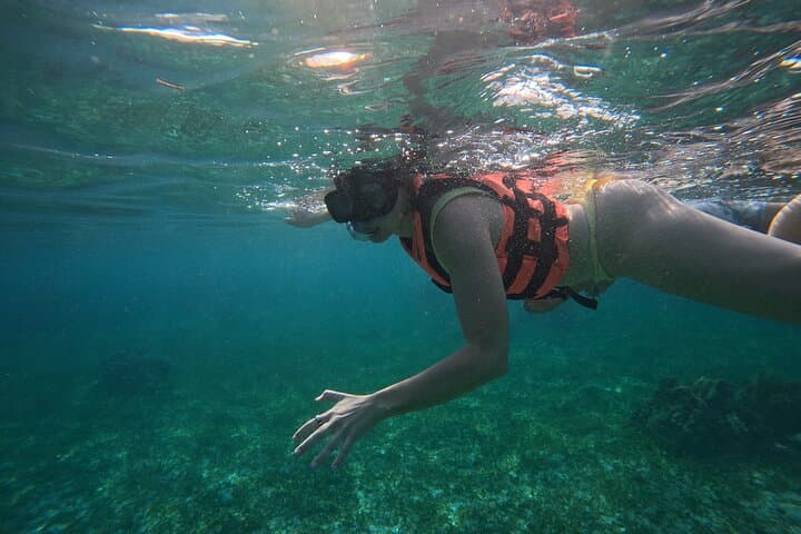 Snorkel Puerto Morelos Reef: 2-Hour Marine Park Adventure photo 4