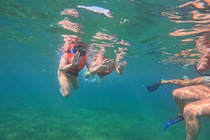 Snorkel Puerto Morelos Reef: 2-Hour Marine Park Adventure photo 6
