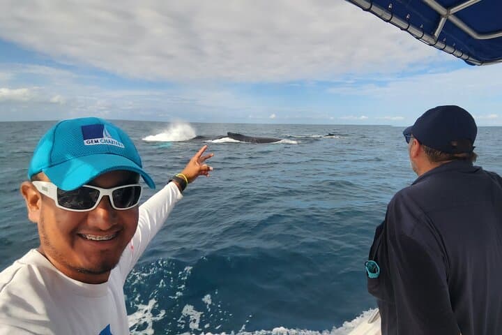 Private Pearl Islands Whale-Watching Tour from Flamenco Marina photo 4