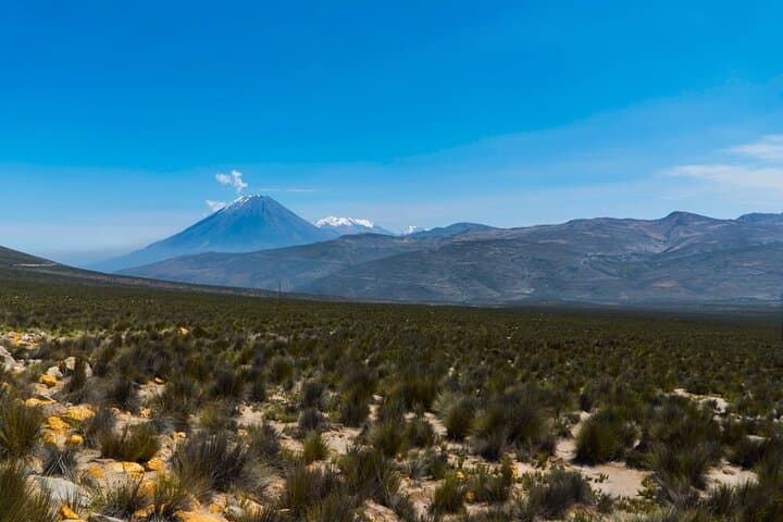 Colca Canyon 2-Day Exploration: Condors, Hot Springs & Andean High Plains photo 5
