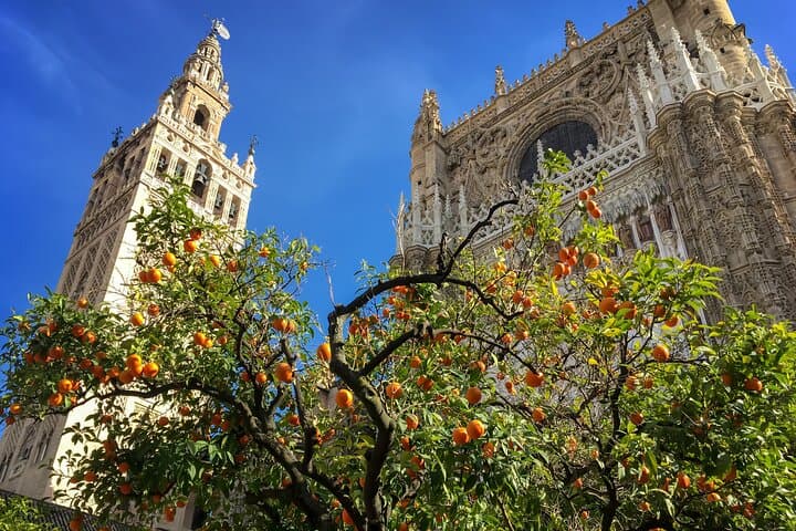 Seville Cathedral, Giralda & Royal Alcázar: Fast-Track Guided Walking Tour photo 4