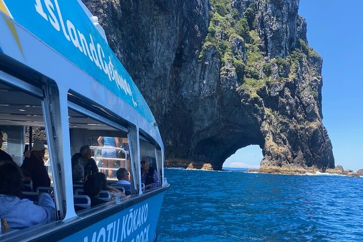 Bay of Islands Hole in the Rock Cruise with Island Stopover from Paihia photo 4