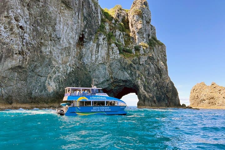 Bay of Islands Hole in the Rock Cruise with Island Stopover from Paihia