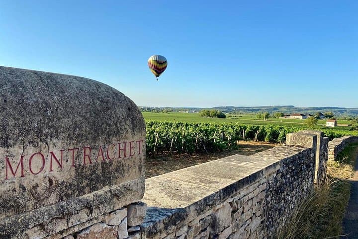 Premium Burgundy Private Wine Tasting — Premier & Grand Cru Tour from Beaune photo 1