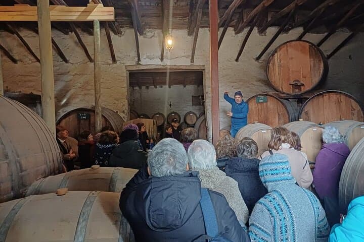 Inca Lagoon & Sanchez de Loria Vineyard: A Day in the Chilean Andes with Wine Tasting photo 4